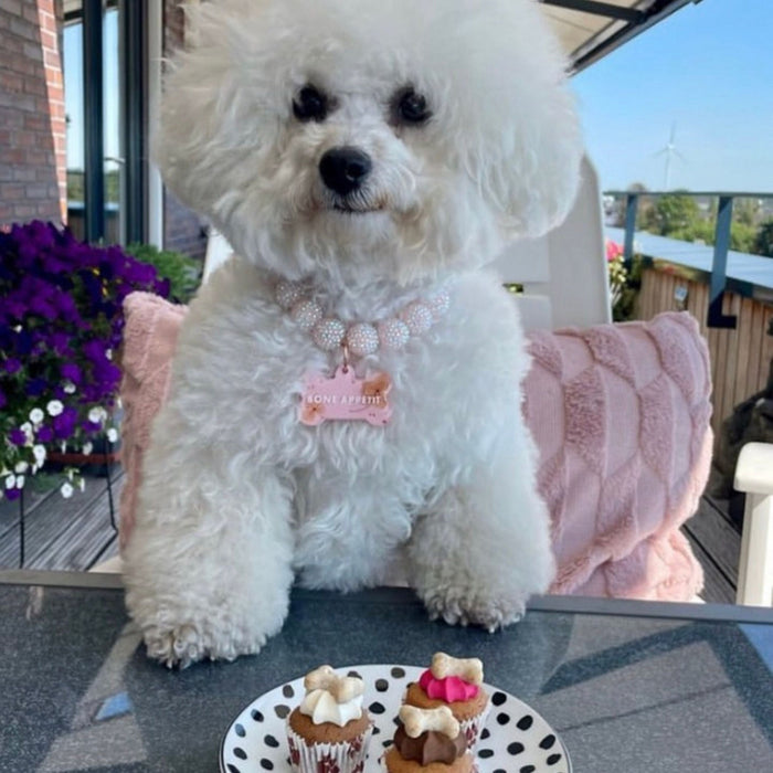 Barking Bakery Woofin Mini Iced Trios Dog Cakes