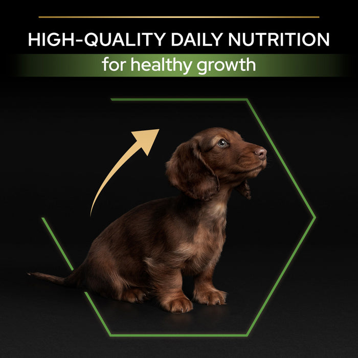 Pro Plan Small and Mini Puppy Healthy Start Chicken Dry Dog Food