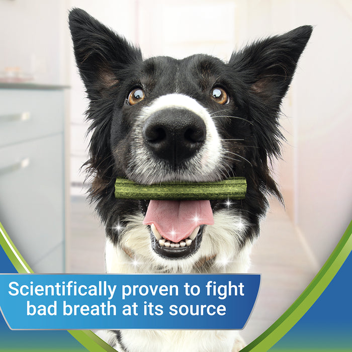 Dentalife ActivFresh Medium Dog Treat Dental Chew