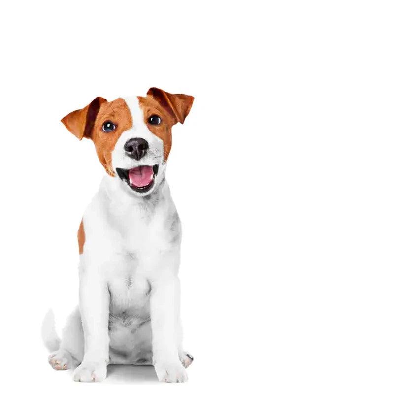 Royal Canin Training Treats Low Calorie Tasty Chews Vitamins C & E 110g