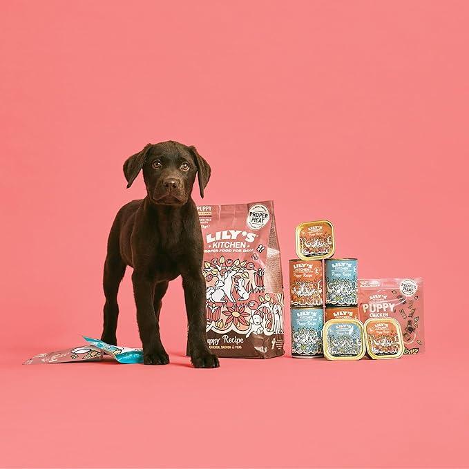 Lilys Kitchen Puppy Recipe Wet Dog Food  400g