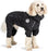 Mikki Doodles Dog Raincoat Black