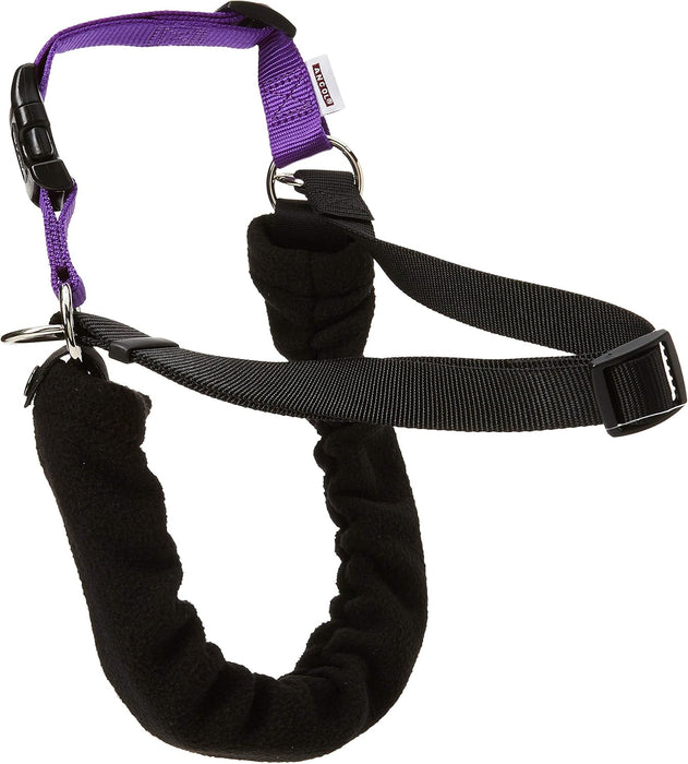 Ancol Training Harness & Lead for Dog