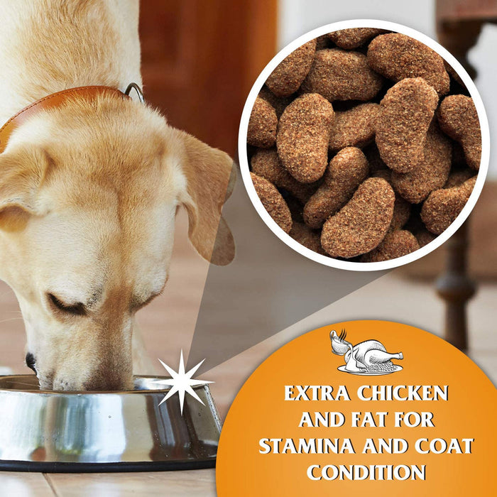 Dr John Gold Rich in Chicken with Vegetables Dry Dog Food 15kg