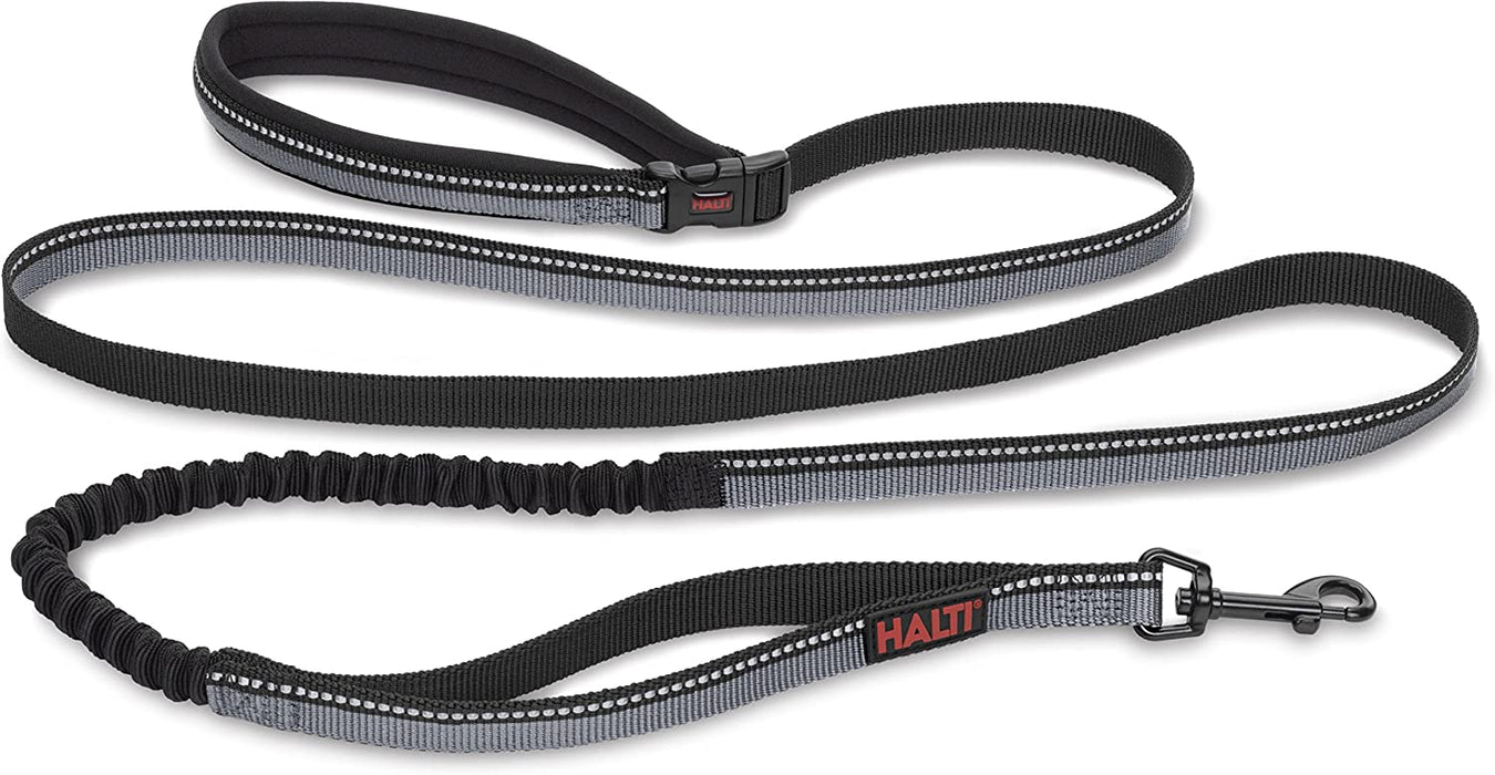 Halti Active Lead for Dog