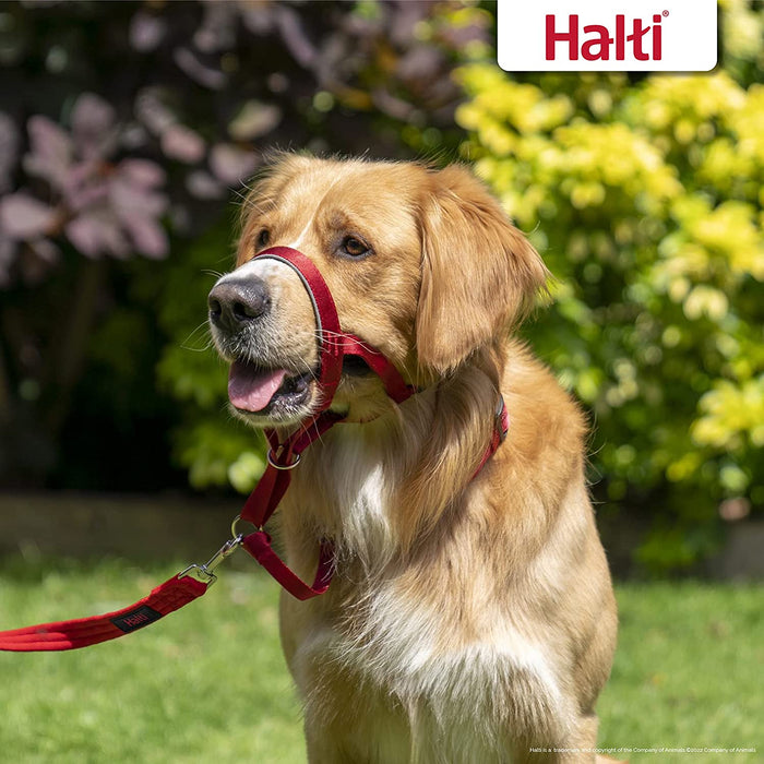 Halti Headcollar for Dog