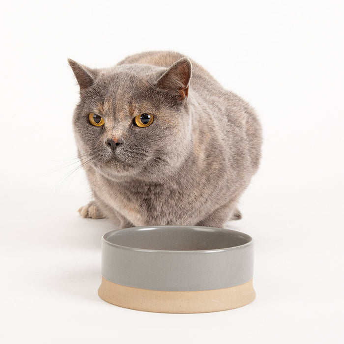 Scruffs Scandi Non Tip Pet Food & Water Bowl Grey 16 x 16 x 5cm | 0.5L