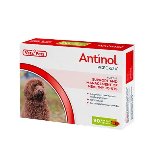 Antinol Natural Joint Supplement for Dogs