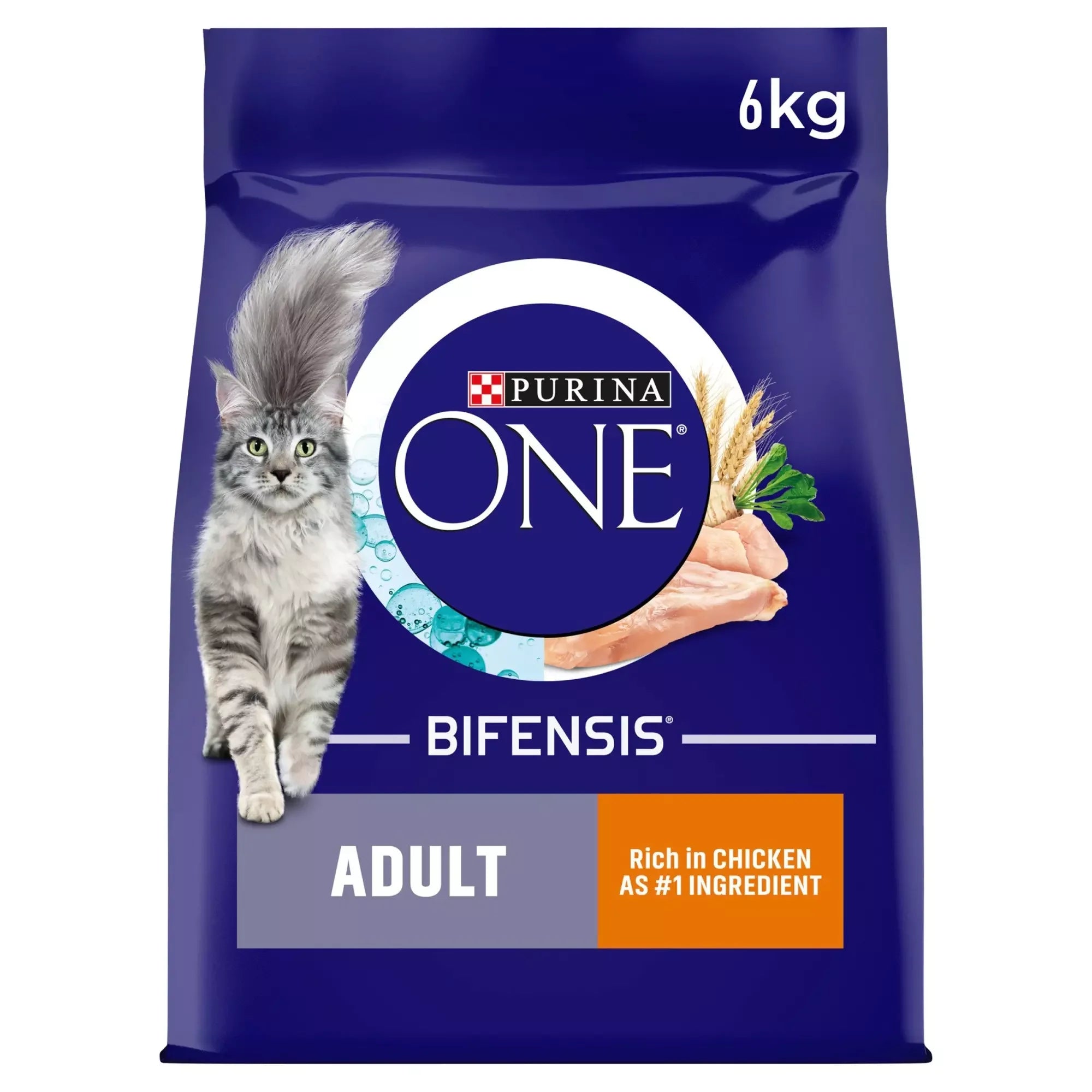 Purina One Adult Chicken Dry Cat Food 6kg