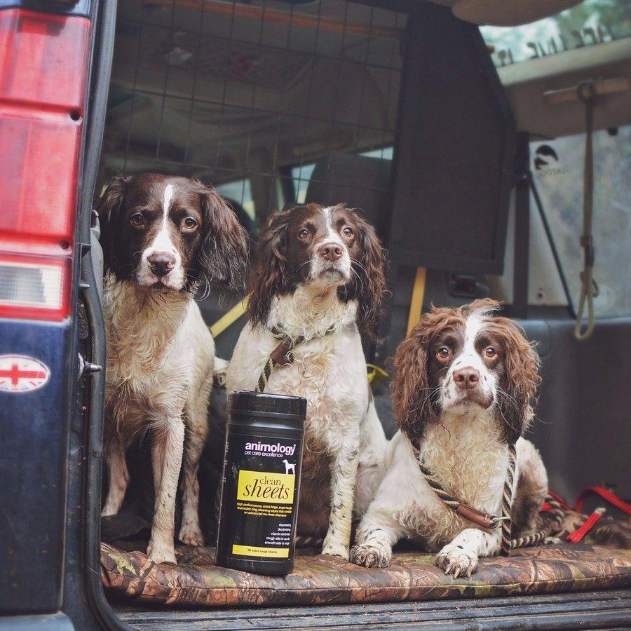 Animology Clean Sheets Extra Large Dog Wipes 80 Pack