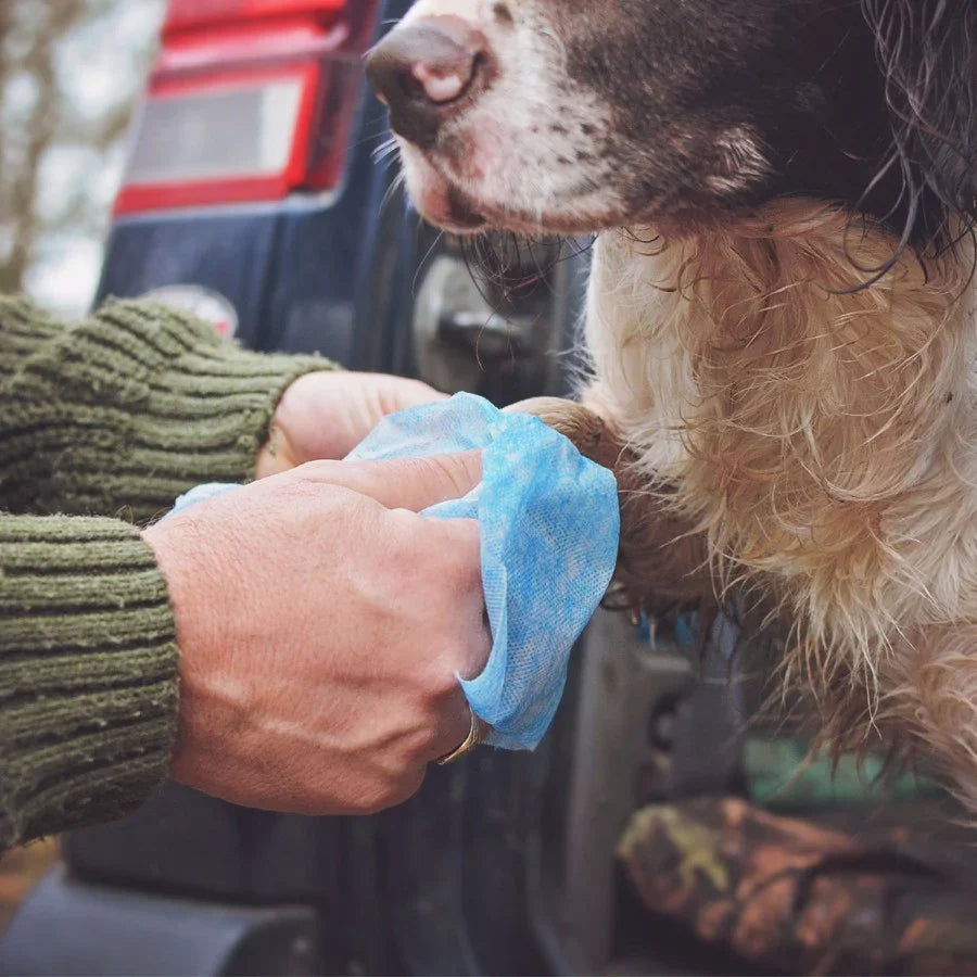 Animology Clean Sheets Extra Large Dog Wipes 80 Pack