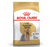 Royal Canin Adult Yorkshire Terrier Dry Dog Food