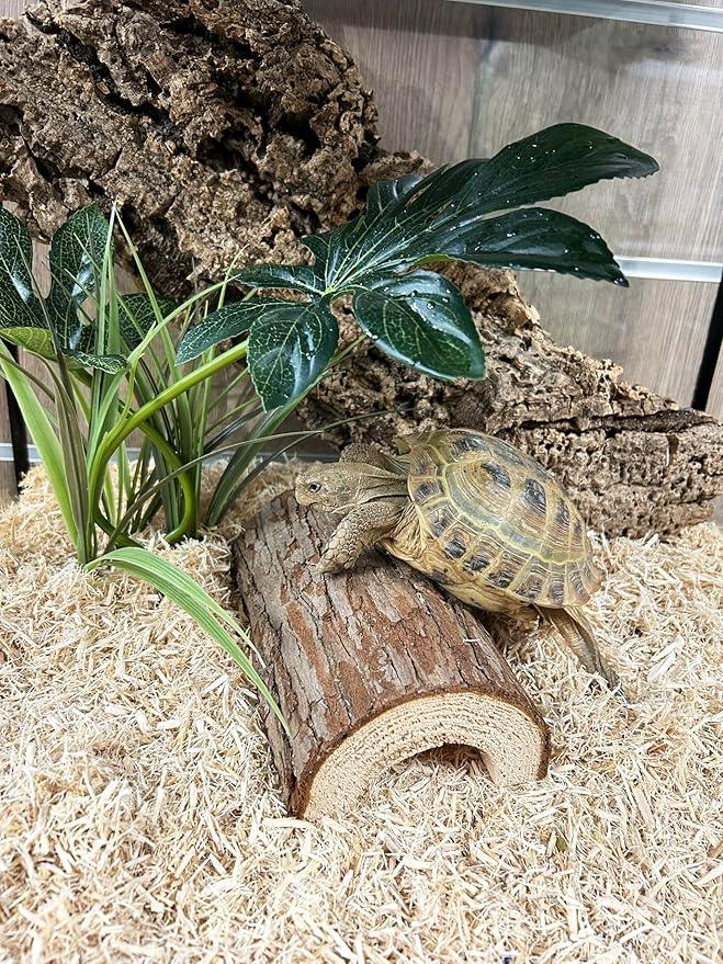 Komodo Wooden Hide for Reptiles