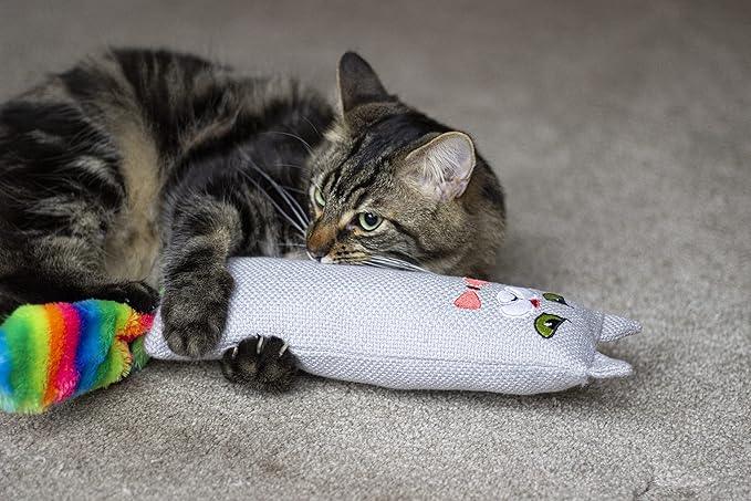 Rosewood Moody Moggy Rainbow Cat Kicker