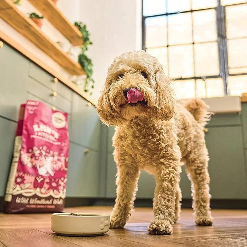 Lily's Kitchen Adult Wild Woodland Walk Duck/Salmon & Venison Dry Dog Food