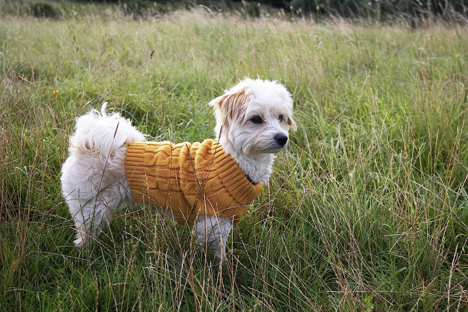 Charlton Cable Knit Mustard Dog Jumper
