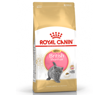 Royal Canin Kitten British Shorthair Dry Cat Food