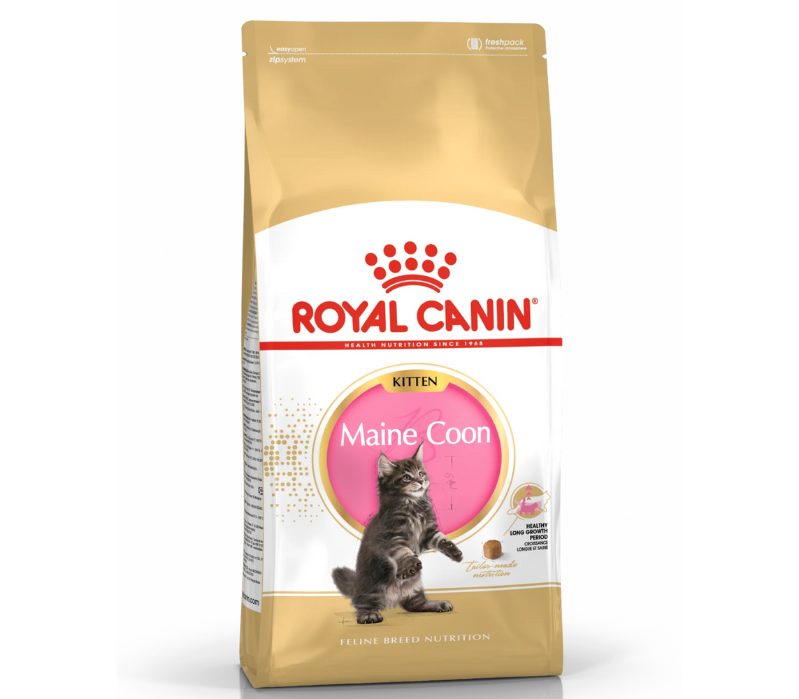 [Clearance Sale] Royal Canin Kitten Maine Coon Dry Cat Food 10kg