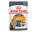 Royal Canin Adult Intense Beauty Thin Slices In Jelly Wet Cat Food