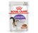 Royal Canin Adult Sterilised Chunks In Gravy Wet Cat Food