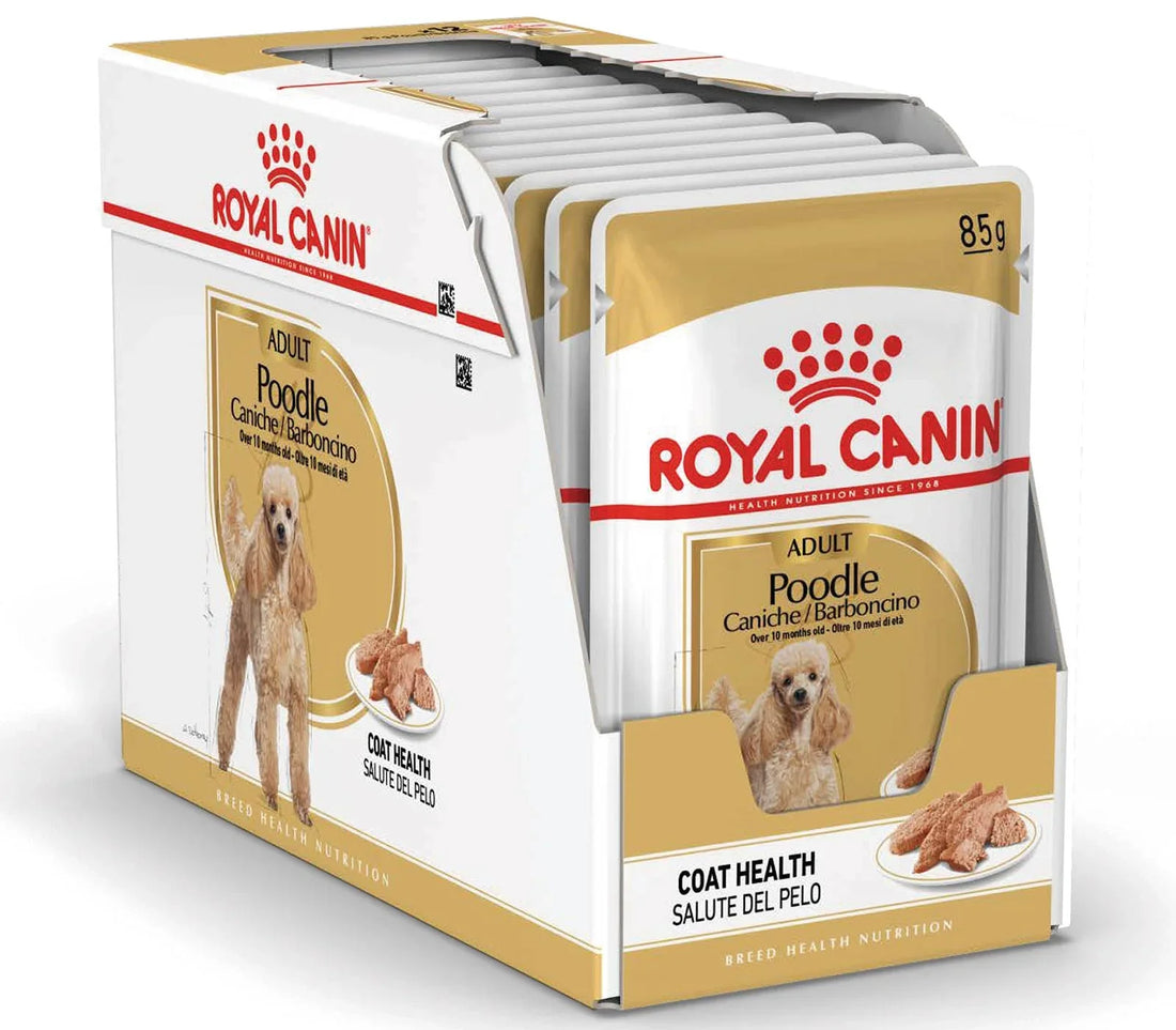 Royal Canin Adult Poodle Loaf Wet Dog Food