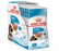 Royal Canin Puppy Maxi Chunks In Gravy Wet Dog Food