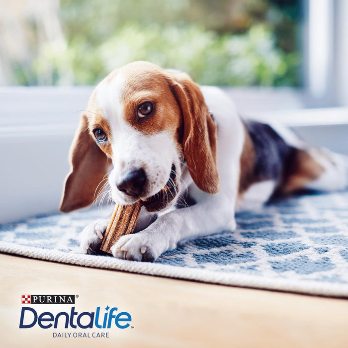 Dentalife Small Dog Dental Dog Chews