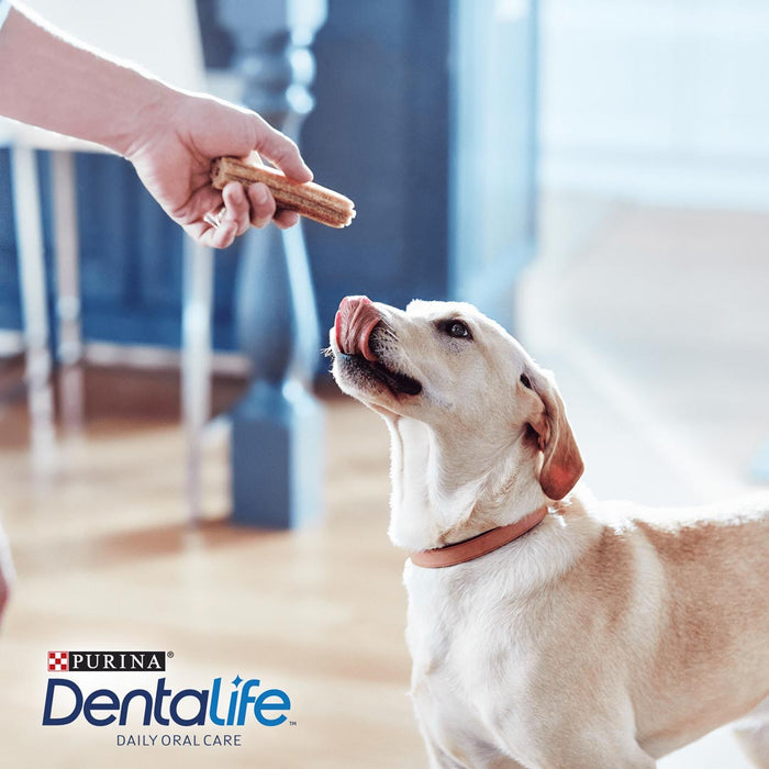 Dentalife Large Dog Dental Dog Chews