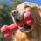 KONG Dog Classic Goodie Bone