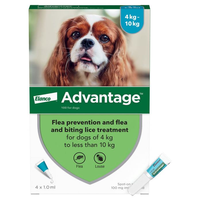 Advantage 100 Spot On Flea Control Medium Dog (4-10kg) - 4 Pack