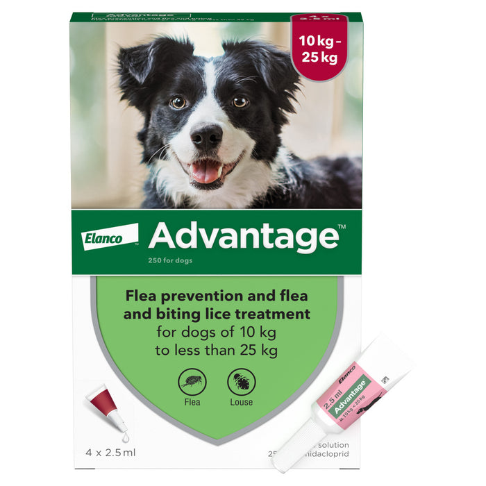 Advantage 250 Spot On Flea Control Large Dog (10-25kg) - 4 Pack