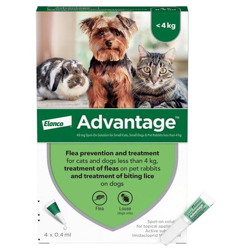 Advantage 40 Spot On Flea Control Small Dogs, Cats and Rabbits (<4kg) - 4 Pack