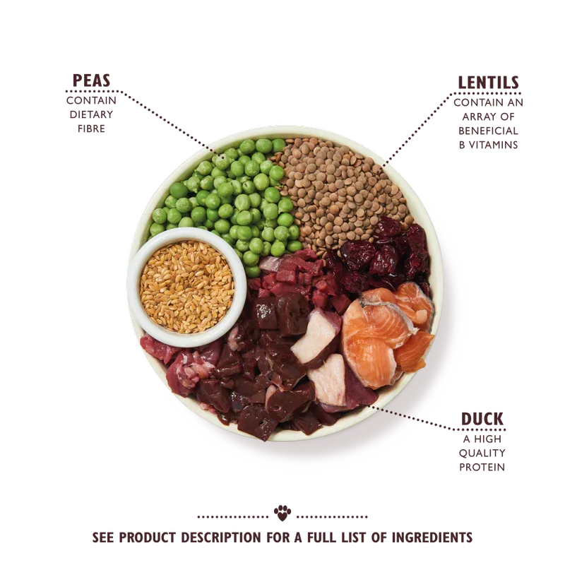 Lily's Kitchen Adult Wild Woodland Walk Duck/Salmon & Venison Dry Dog Food