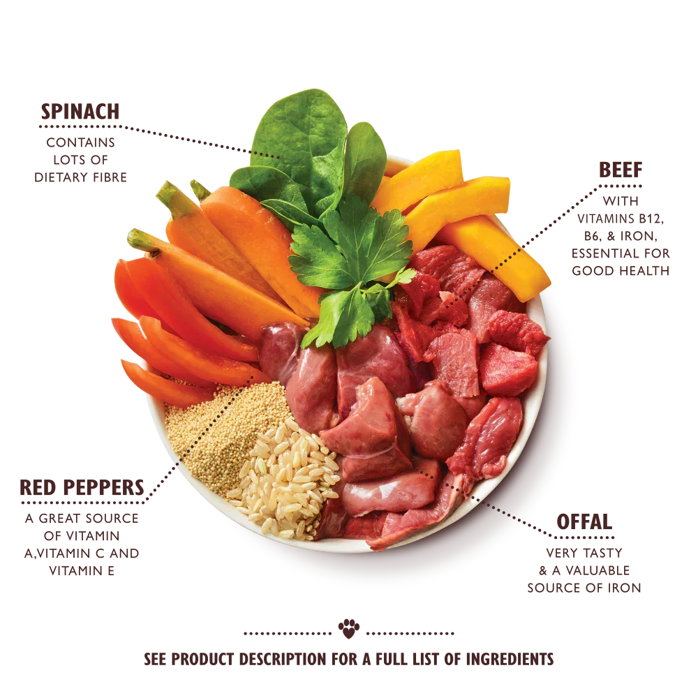 Lily's Kitchen Beef Goulash Wet Dog Food 400g