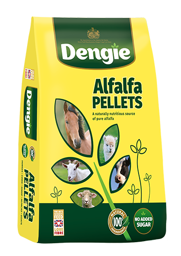 Dengie Alfalfa Pellets Equine Food 20kg
