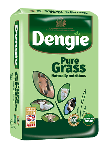 Dengie Pure Grass Equine Food 15kg
