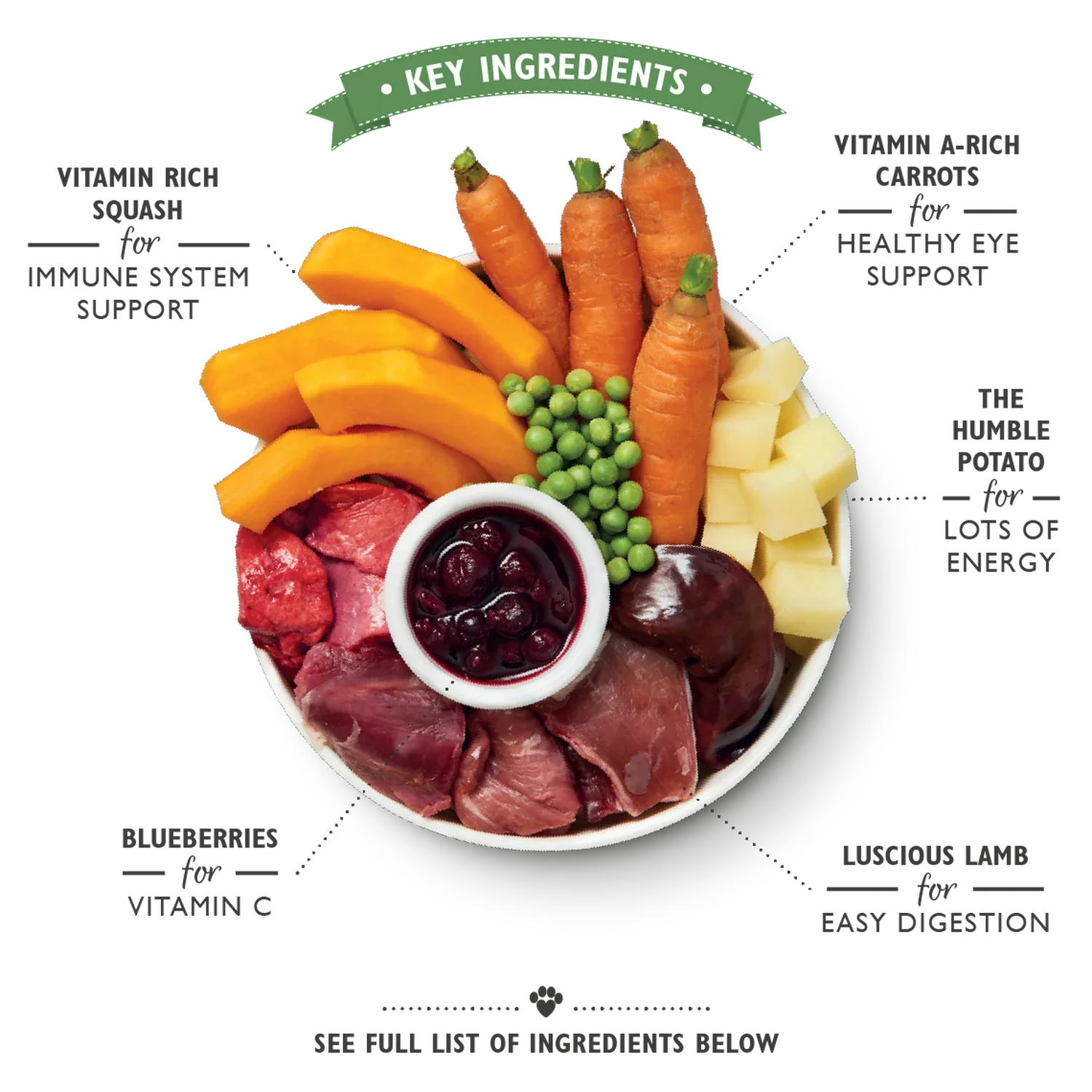 Lily's Kitchen Lamb Hotpot with Potatoes & Squash Wet Dog Food