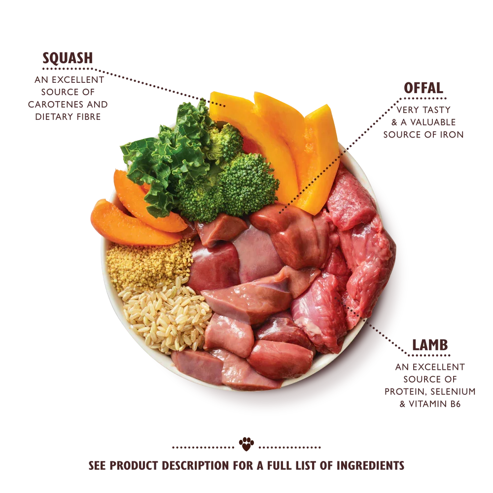 Lilys Kitchen Lamb Tagine Adult Wet Dog Food 150g