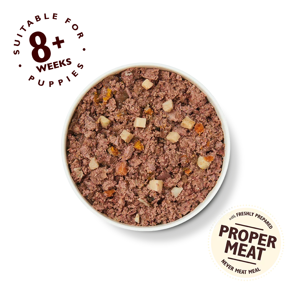 Lilys Kitchen Puppy Recipe Wet Dog Food  400g