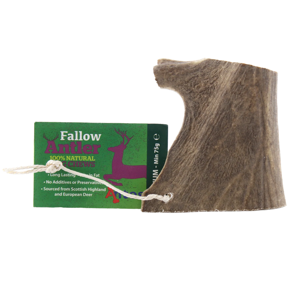 Antos Fallow Antler Medium 75-150g