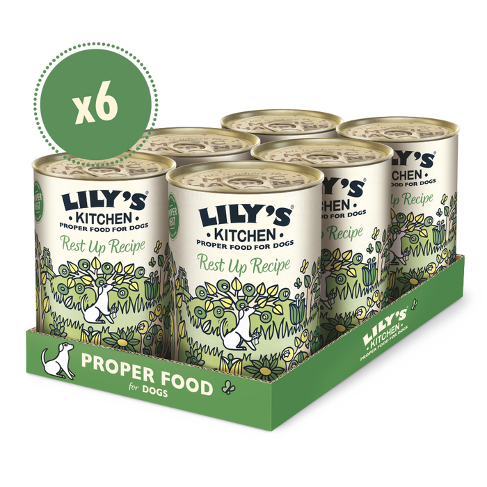 Lily's Kitchen Recovery Recipe Chicken Wet Dog Food