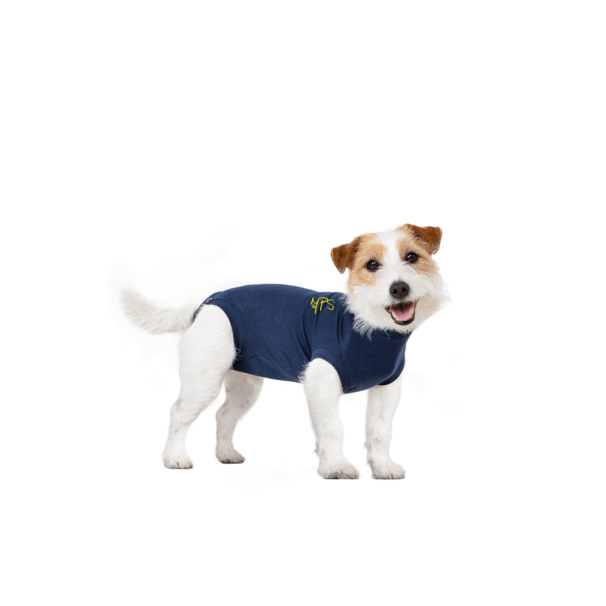 MPS-Medical Pet Shirt Dog Blue