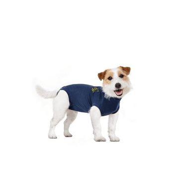 MPS-Medical Pet Shirt Dog Blue