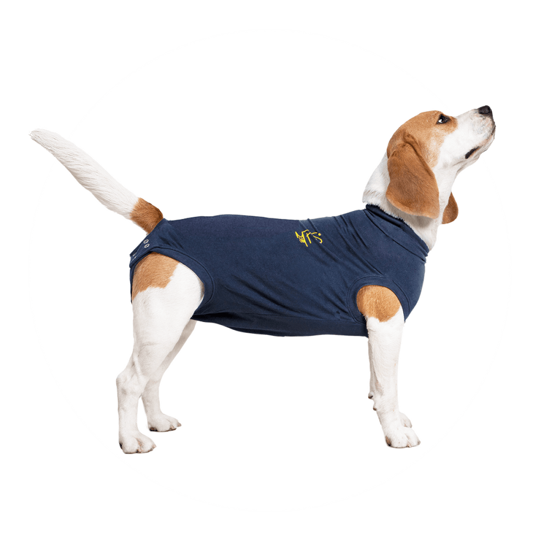 MPS-Medical Pet Shirt Dog Blue