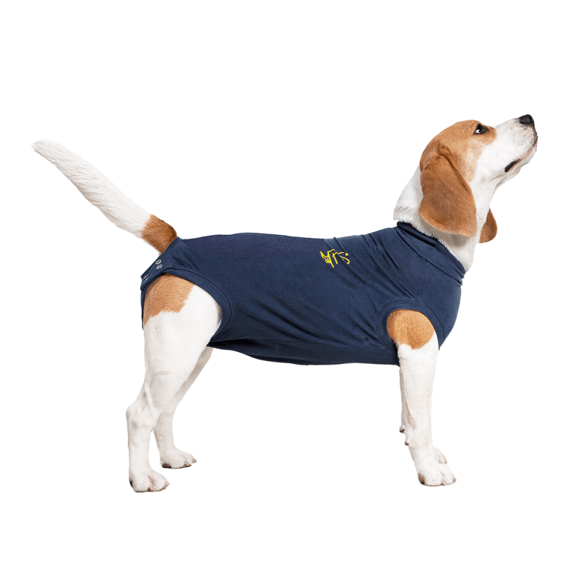 MPS-Medical Pet Shirt Dog Blue