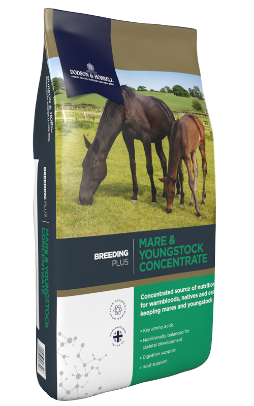 Dodson & Horrell Mare & Youngstock Concentrate Equine Food 20kg