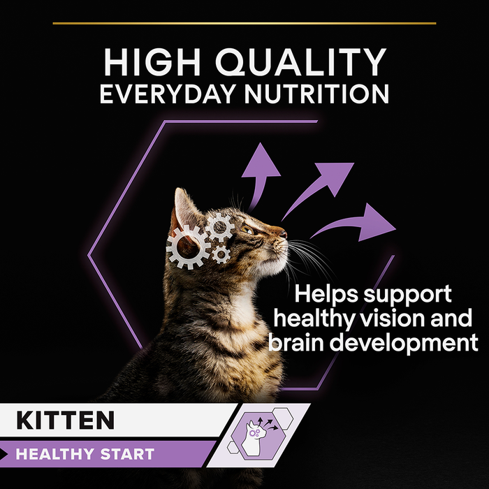 Pro Plan Kitten Healthy Start Turkey in Gravy Wet Cat Food 10 x 85g