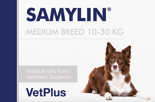 VetPlus Samylin for Medium Dogs 10-30kg 30 Tablets