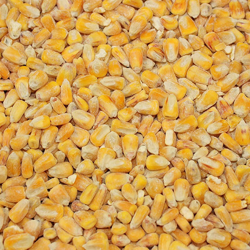 Copdock Mill Whole Maize Poultry Food 20kg