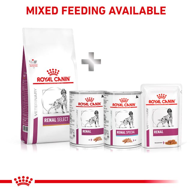 Royal Canin Veterinary Renal Select Dry Dog Food 2kg